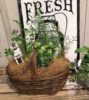 【7月ワークショップ】Summer Kitchen Garden作り〈なんば店〉
