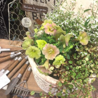 ワークショップのご報告〈西宮店〉