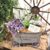 【9月ワークショップ】Autumn Blue Garden〈京都桂川店〉
