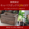 【NEWS】期間限定☆キャベツボックス20%OFF！〈みどり共通〉