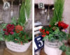 【11月ﾜｰｸｼｮｯﾌﾟ】初めて&大人な…クリスマスの寄せ植え〈西宮店〉