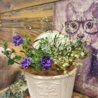 【6月ワークショップ】お花モリモリ♪可愛い夏の寄せ植え☆〈西宮店・なんば店〉