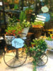 人気の花台・プランター入荷〈西宮店〉