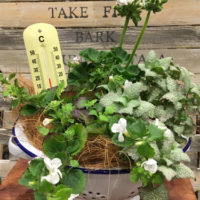 【4月ワークショップ】spring&ホワイトガーデン〈京都マルイ店・京都桂川店〉