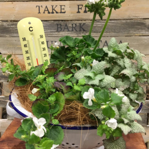 【4月ワークショップ】spring&ホワイトガーデン〈京都マルイ店・京都桂川店〉