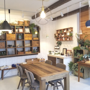 【NEWS】ﾅﾁｭﾘｴｽﾀｼﾞｵ富山店 11/22OPEN