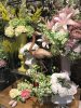 フェイクフラワー入荷〈西宮店〉
