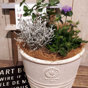 【1月ﾜｰｸｼｮｯﾌﾟ】春を先取り♪Spring My Garden〈なんば店〉
