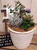 【1月ﾜｰｸｼｮｯﾌﾟ】春を先取り♪Spring My Garden〈なんば店〉