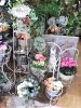 Welcome フラワースタンド☆〈なんば店〉