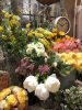 春色のフェイクフラワー〈京都桂川店〉