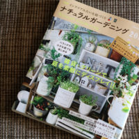 【雑誌掲載】みどりの雑貨屋が紹介されました♪