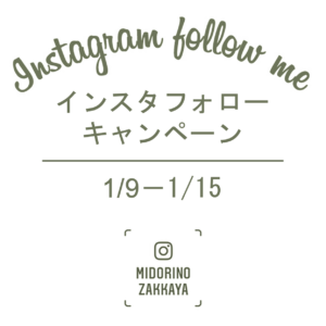 【NEWS】ｲﾝｽﾀﾌｫﾛｰ☆ｷｬﾝﾍﾟｰﾝ〈みどり共通〉