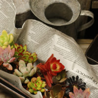 【NEWS】草津店は平成26年11月30日に閉店いたしました〈草津店〉