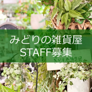 【STAFF募集】フルタイムスタッフを募集します☆