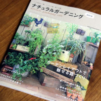 【雑誌掲載】RIKAさんのお庭が紹介されました☆
