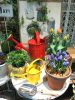 【NEWS】Spring has come！〈みどり共通〉