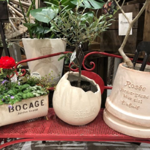 新作ファイバーポット〈京都桂川店〉
