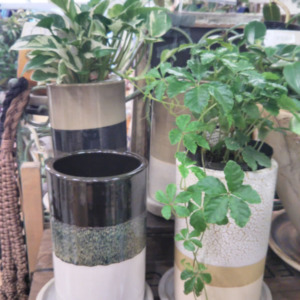 信楽焼の植木鉢〈なんば店〉