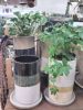 信楽焼の植木鉢〈なんば店〉