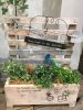 【4月ﾜｰｸｼｮｯﾌﾟ】香りの寄せ植え Harbs Garden〈京都桂川店〉