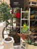 新作ラダーと車輪〈京都桂川店〉
