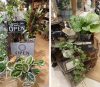 カラテア〈なんば店〉