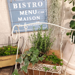 【4月ﾜｰｸｼｮｯﾌﾟ】Harbs Hanging ブランコ♪〈なんば店〉