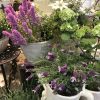 Healing Flower〈西宮店〉