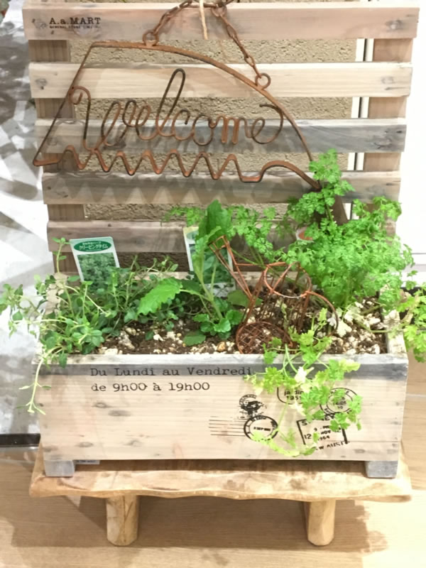ワークショップのご報告〈京都桂川店〉