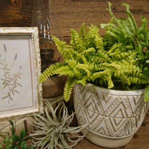 【6月ﾜｰｸｼｮｯﾌﾟ】爽やかな夏の寄せ植え〈西宮店〉