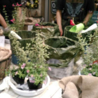 ワークショップのご報告〈京都桂川店〉