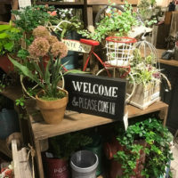 デザイン豊富なブリキ缶や花台〈京都マルイ店〉