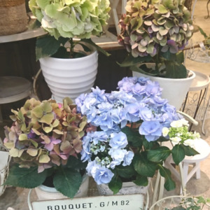 あじさい〈西宮店〉