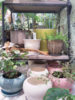 カラフルな植木鉢〈なんば店〉