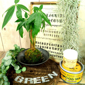 【7月ﾜｰｸｼｮｯﾌﾟ】Let’s try！OLD WOOD WAX＆ｽﾃﾝｼﾙ〈なんば店〉