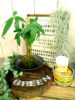 【7月ﾜｰｸｼｮｯﾌﾟ】Let’s try！OLD WOOD WAX＆ｽﾃﾝｼﾙ〈なんば店〉