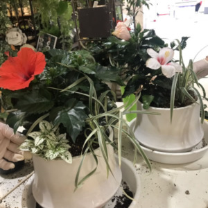 ﾜｰｸｼｮｯﾌﾟのご報告〈なんば店〉