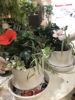 ﾜｰｸｼｮｯﾌﾟのご報告〈なんば店〉