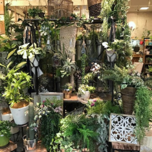 【NEWS】Fakegreen Collection 〈直営店共通〉