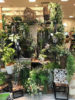 【NEWS】Fakegreen Collection 〈直営店共通〉