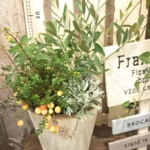 【9月ﾜｰｸｼｮｯﾌﾟ】ｵﾘｰﾌﾞの秋の寄せ植え〈西宮店〉