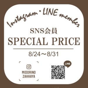 【NEWS】期間限定☆WOODBOXが20%OFF！！〈直営店共通〉