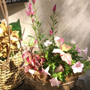 【9月ﾜｰｸｼｮｯﾌﾟ】秋のﾌﾗﾜｰﾊﾞｽｹｯﾄ〈京都桂川店〉