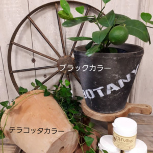 【9月ﾜｰｸｼｮｯﾌﾟ】Lemon tree＆Stencil〈なんば店〉