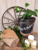 【9月ﾜｰｸｼｮｯﾌﾟ】Lemon tree＆Stencil〈なんば店〉
