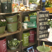 可愛いブリキに寄せ植え♪〈京都桂川店〉