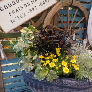 【10月ﾜｰｸｼｮｯﾌﾟ】ｼｯｸな秋の寄せ植え〈西宮店〉