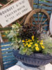 【10月ﾜｰｸｼｮｯﾌﾟ】ｼｯｸな秋の寄せ植え〈西宮店〉