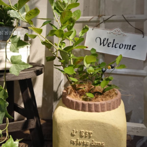 【10月ﾜｰｸｼｮｯﾌﾟ】紅葉&果実を楽しもう！〈京都桂川店〉